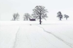 Дізнайтеся про свята 29 січня 2026 року: День пам'яті героїв Крут, церковне свято Ігнатія Богоносця, народні прикмети, заборони та міжнародні події.