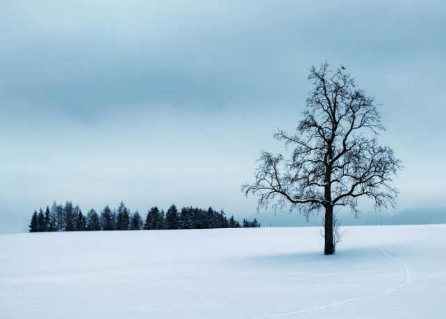 Яке свято 26 січня 2026 року: традиції, прикмети та іменинники